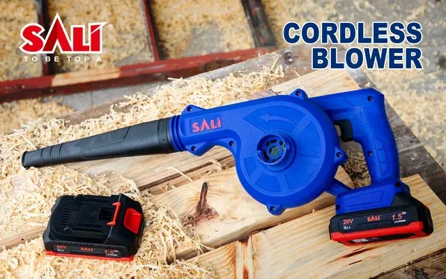 souffleur aspirateur SALI 20v